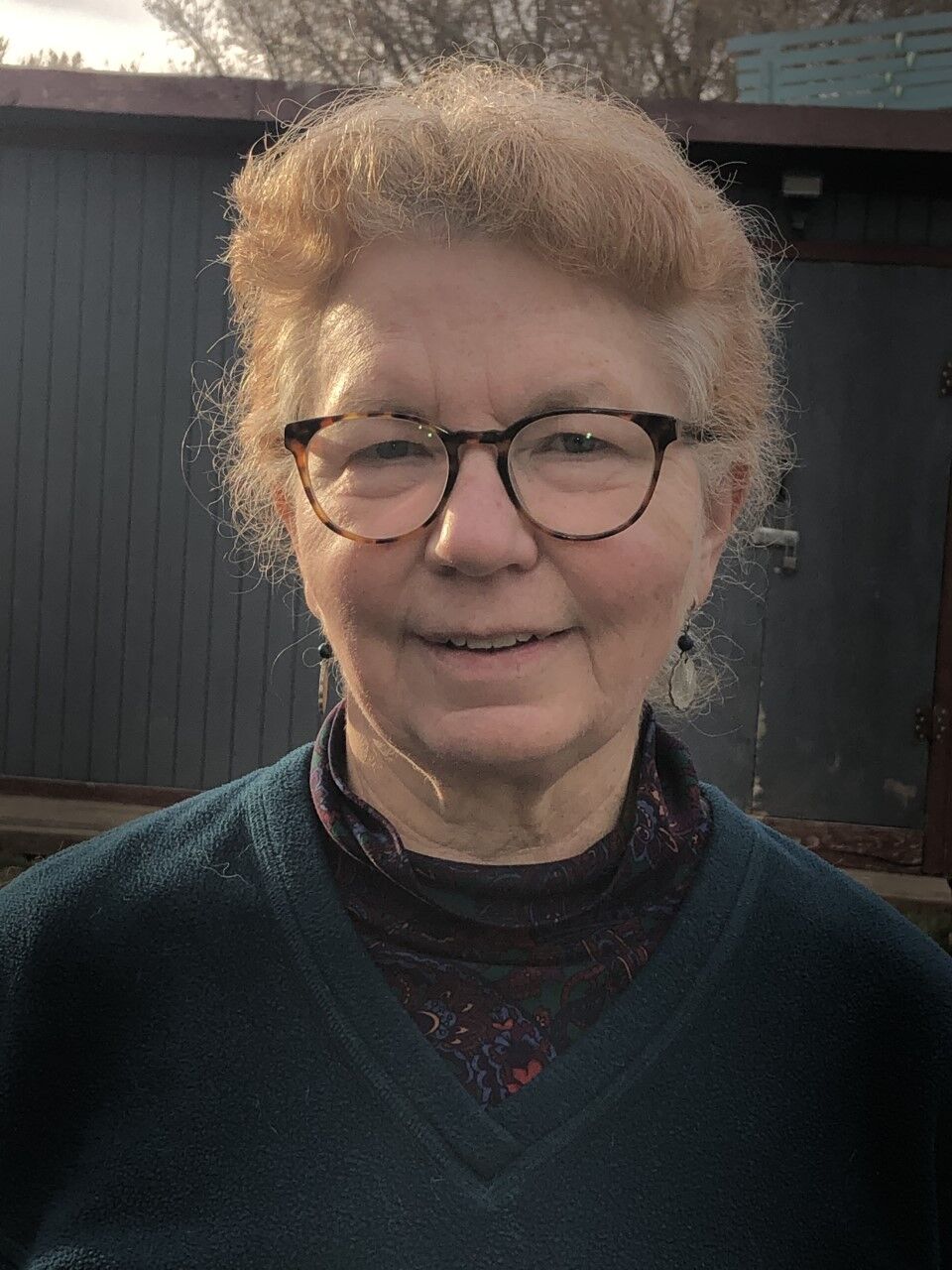 Robin Priddy